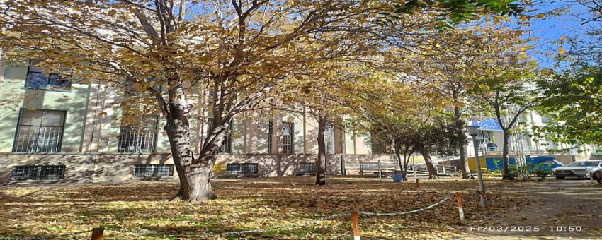 دانشکده پیراپزشکی